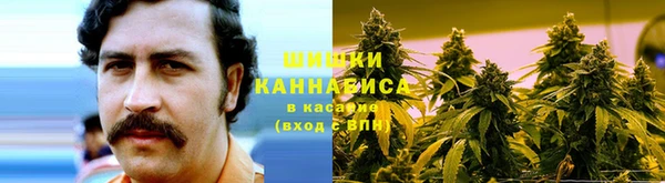 СК Лиски