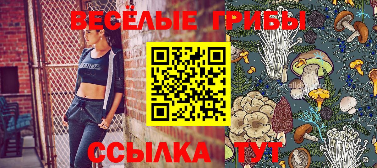 Новочебоксарск  Галлюциногенные грибы MAGIC MUSHROOMS  Вход с VPN 