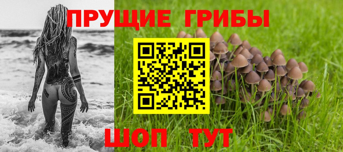 Псилоцибиновые грибы прущие грибы Новочебоксарск